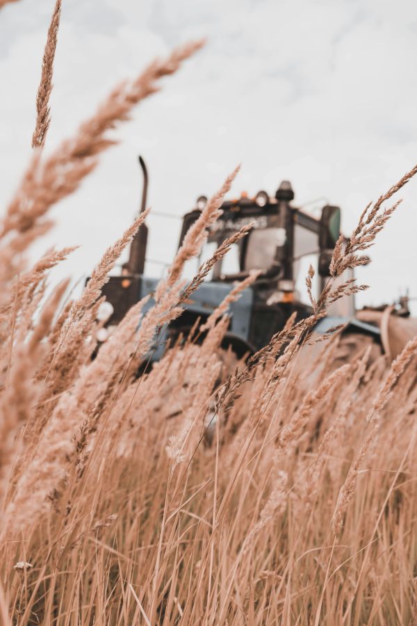 Maîtriser le rôle de conseiller agricole pour optimisez l'accompagnement des exploitants